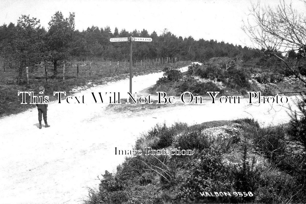 DE 2287 - Waldon, Devon