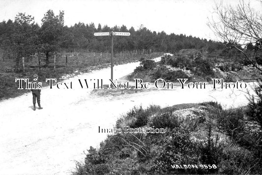 DE 2287 - Waldon, Devon