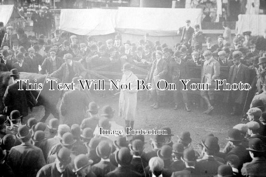 DE 2408 - Cattle Market, Holsworthy, Devon 1906