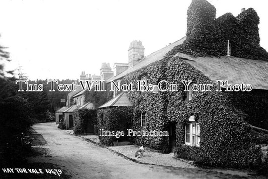 DE 2434 - Haytor Vale, Devon