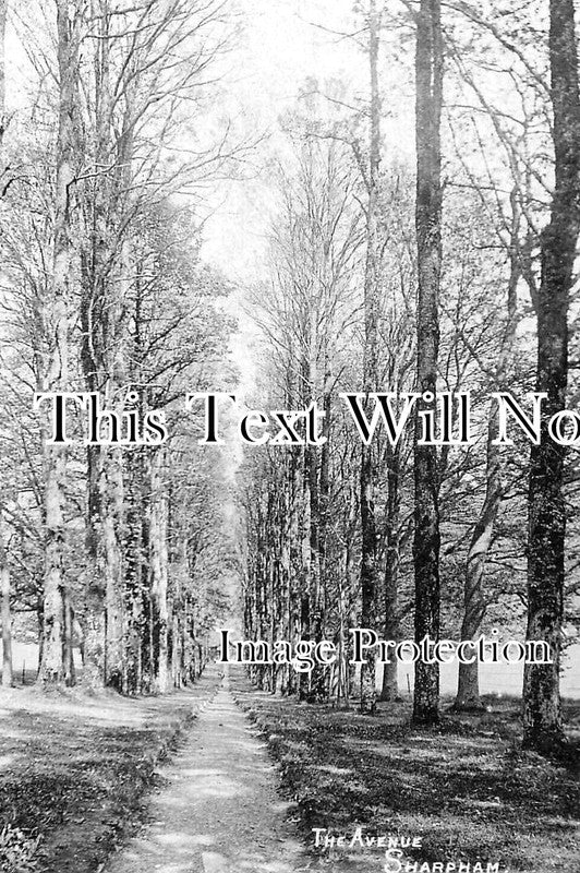 DE 2480 - The Avenue, Shapham, Totnes, Devon