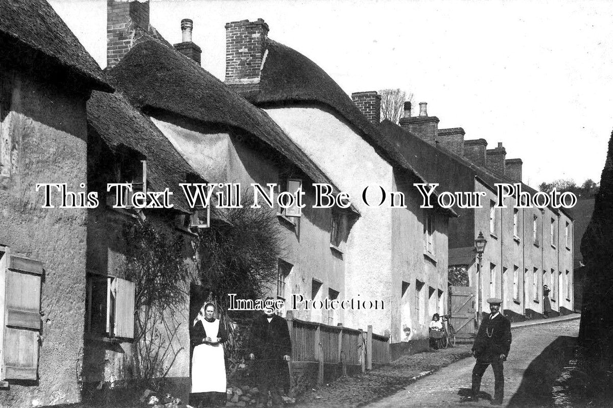 DE 2531 - Dawlish, Devon