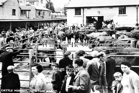 DE 2542 - Cattle Market, Newton Abbot, Devon