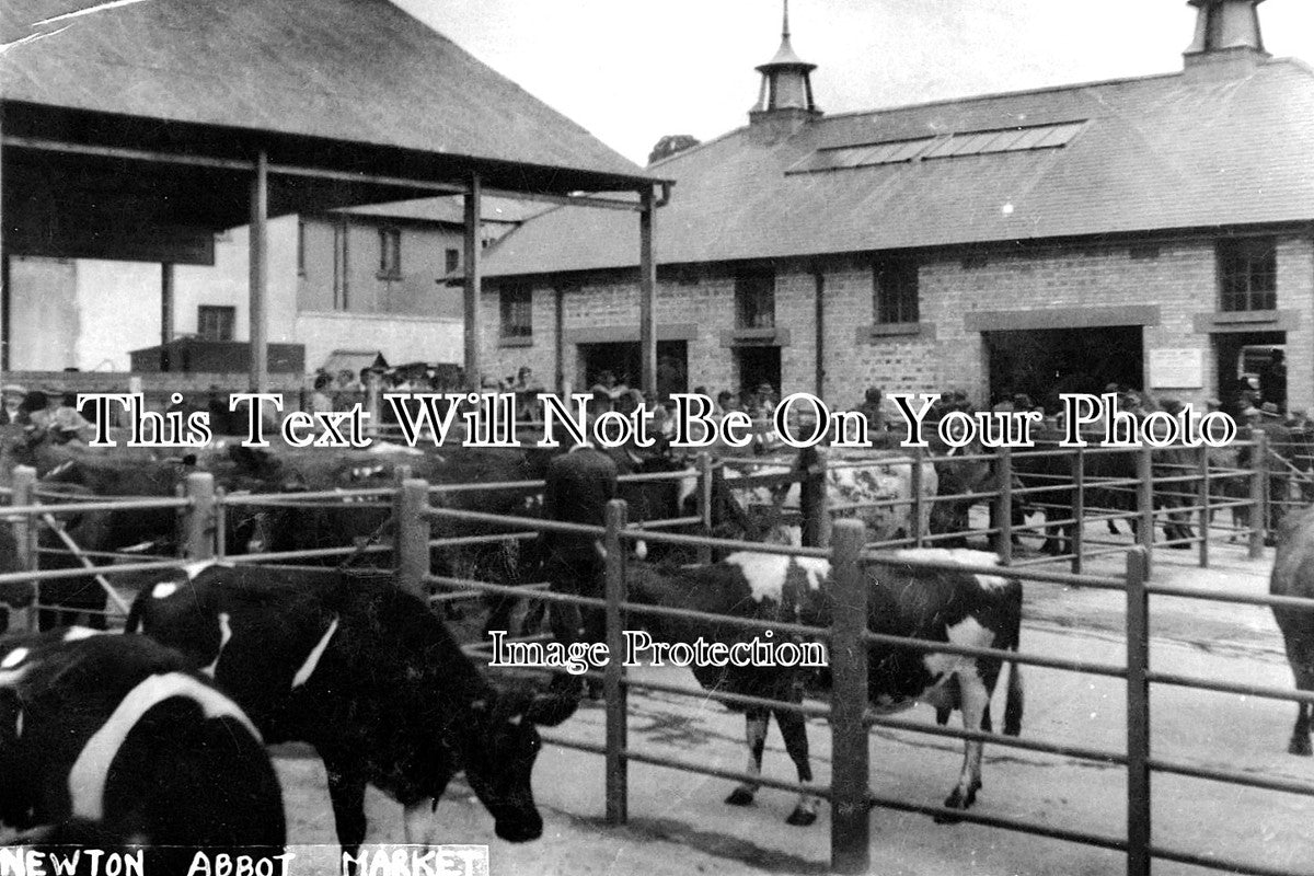 DE 2569 - Newton Abbot Market, Devon