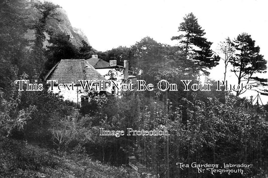 DE 2573 - Tea Gardens, Labrador, Teignmouth, Devon