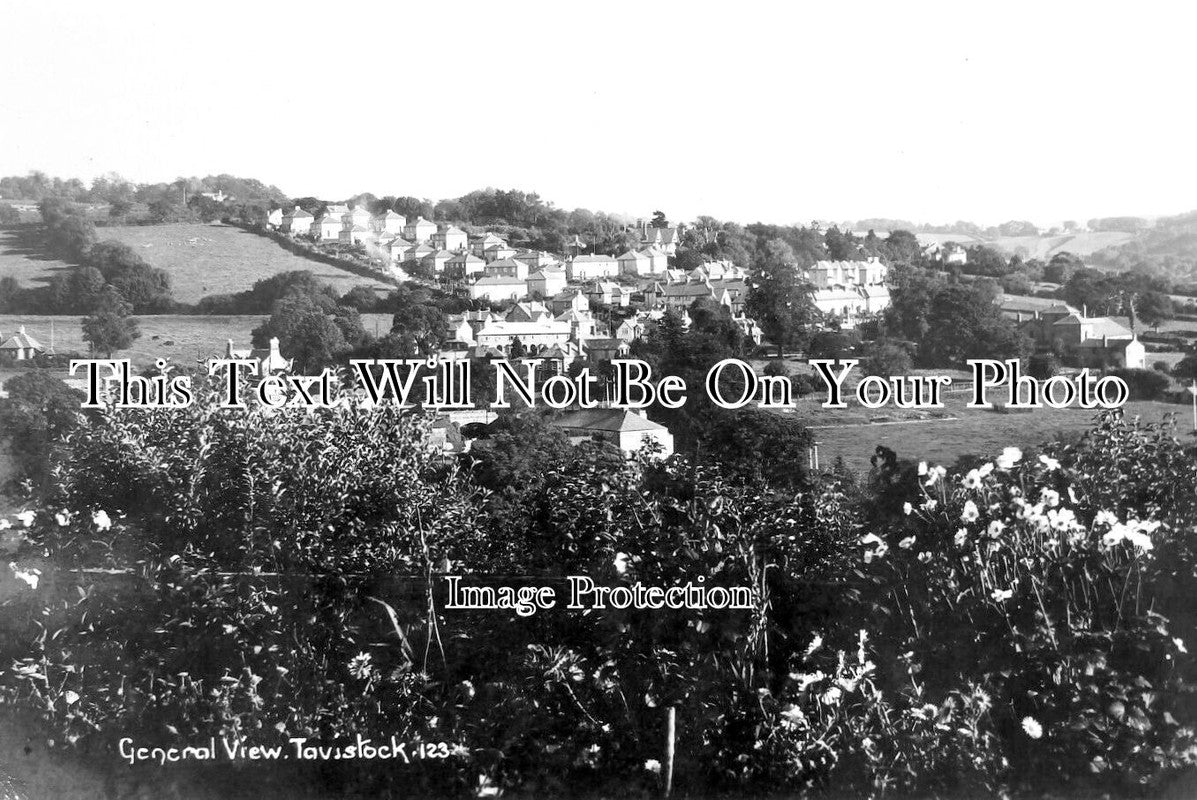 DE 2611 - General View Of Tavistock, Devon