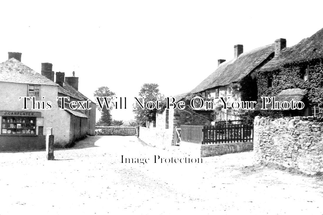 DE 2733 - Knighton Near Newton Abbot, Devon