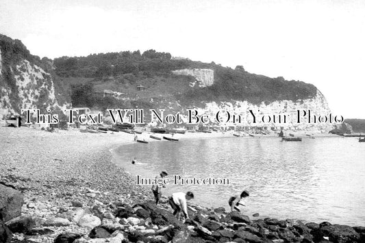 DE 2828 - Beer Looking East, Devon