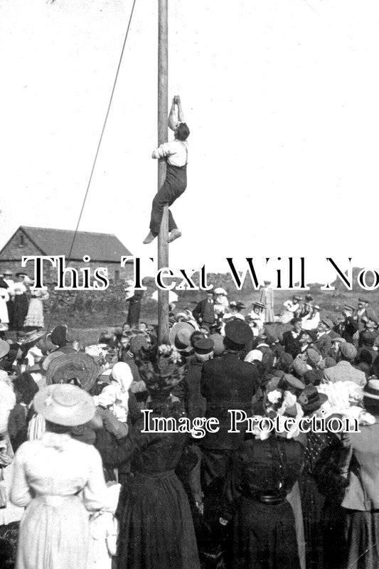 DE 2885 - Climbing The Greasy Pole, Ashprington, Devon c1911