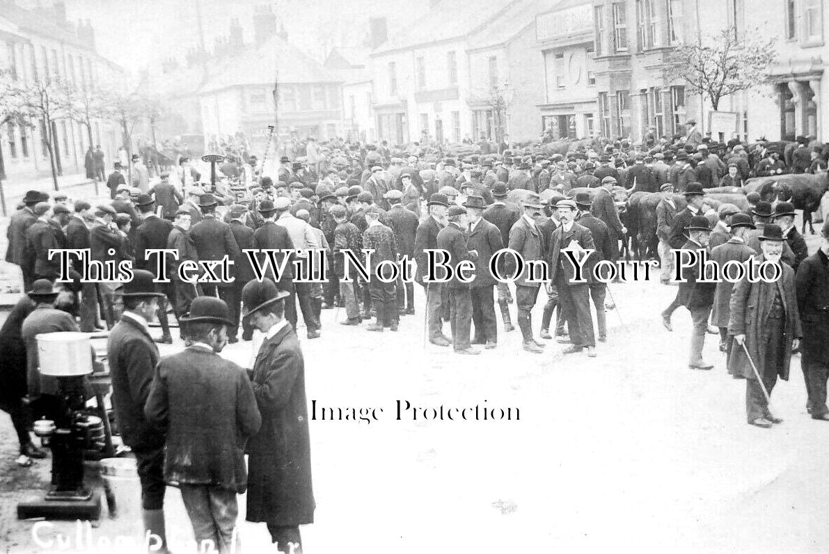 DE 2928 - Cullompton Cattle Market, Devon