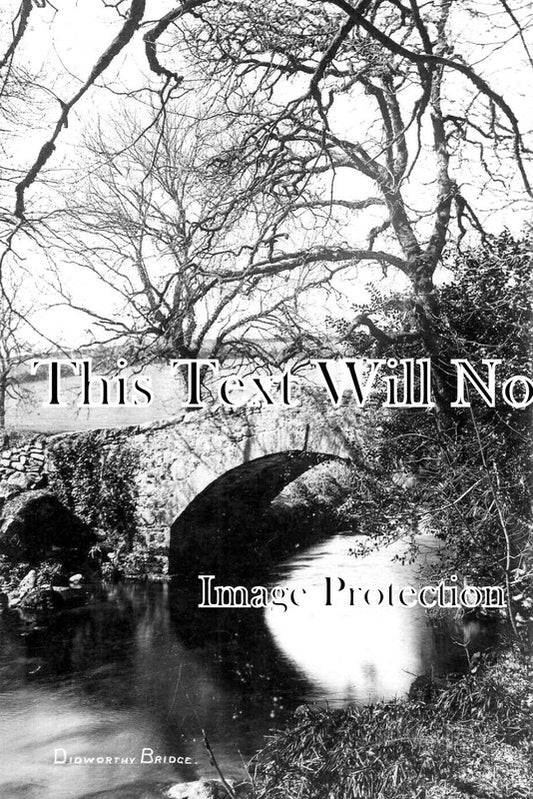 DE 2945 - Didworthy Bridge, Devon