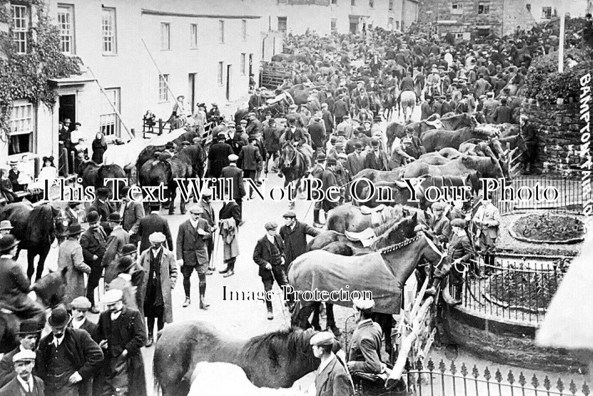 DE 2996 - Bampton Horse Fair, Devon