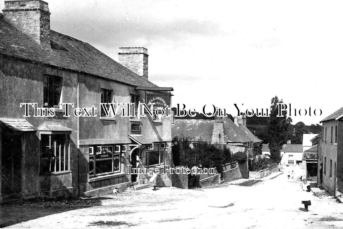 DE 3075 - The Wellington Hotel, Ipplepen, Devon c1909