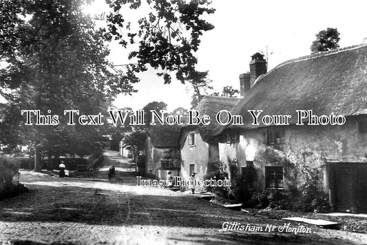 DE 3123 - Gittisham Near Honiton, Devon c1912