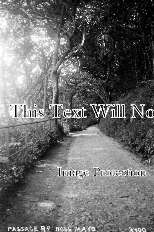 DE 3133 - Passage Road, Noss Mayo, Devon c1929