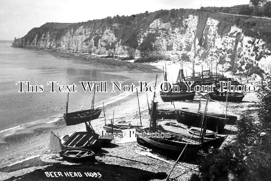 DE 3138 - Beer Head, Devon