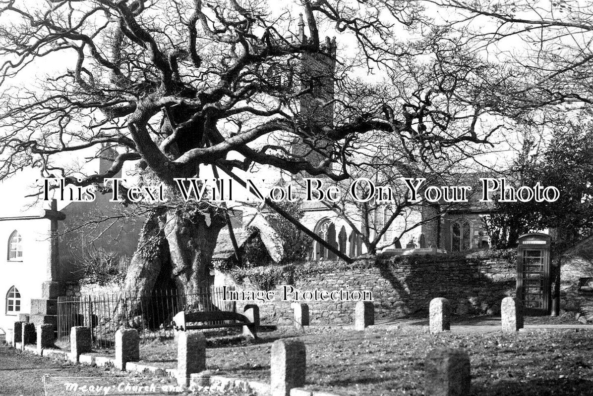 DE 3154 - Meavy Church & Green, Devon