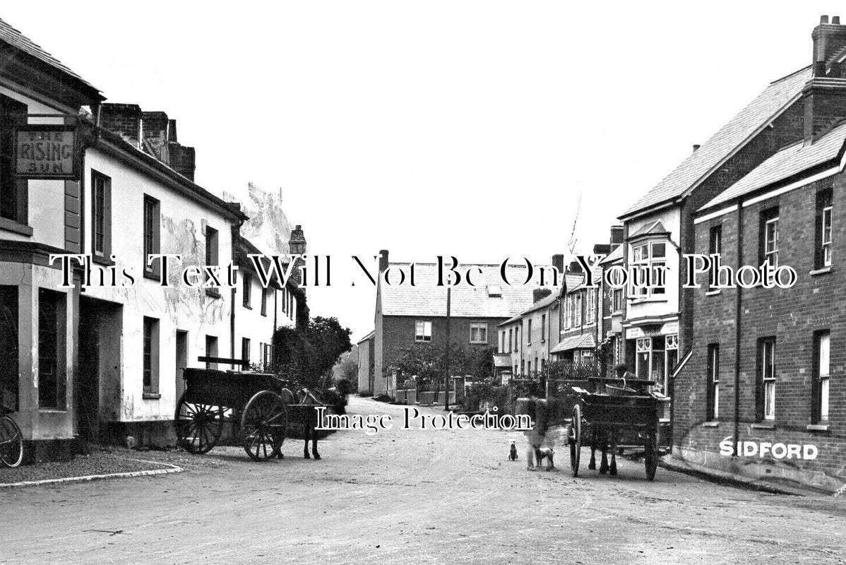 DE 3172 - The Rising Sun Pub, Sidford, Devon