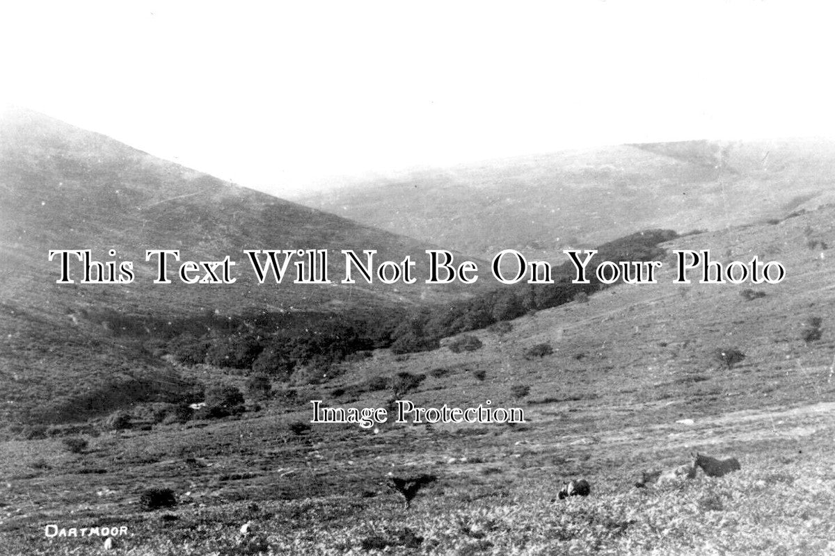 DE 3264 - Dartmoor, Devon
