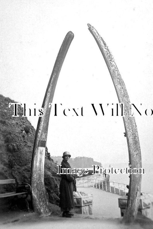 DE 3369 - The Whalebones, Teignmouth, Devon c1925