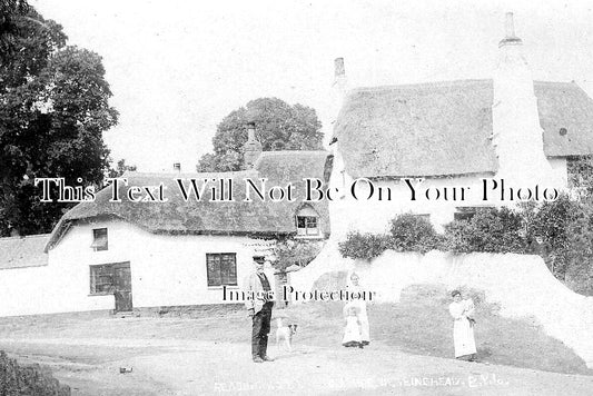 DE 3569 - Combeinteignhead Near Teignmouth, Devon c1911