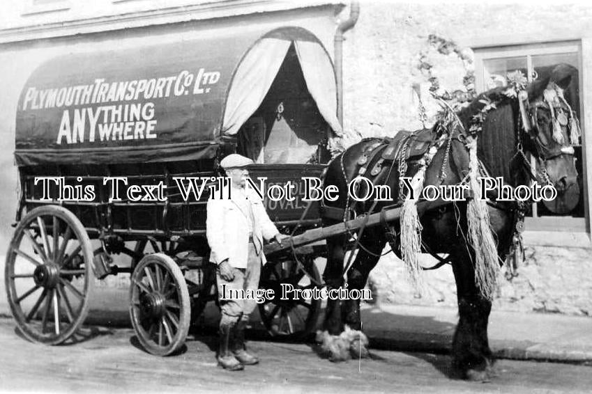 DE 359 - Horse Drawn Removals, Plymouth, Devon