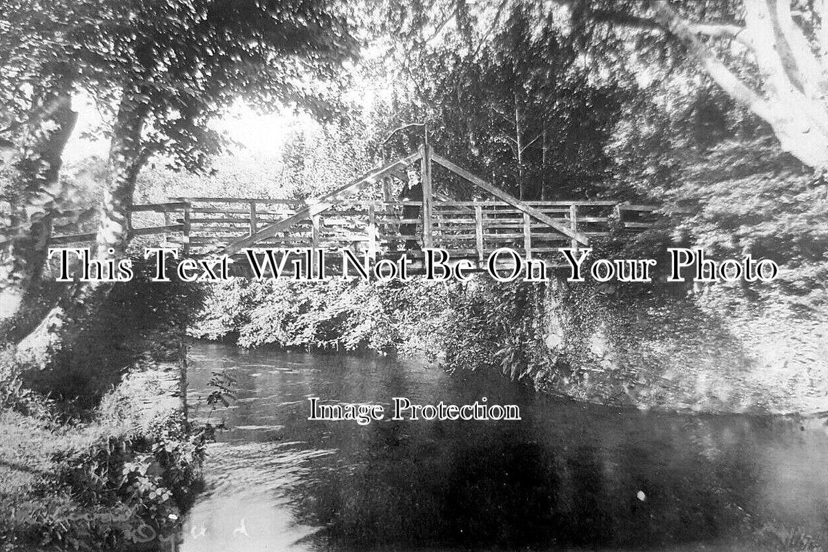 DE 3596 - Bridge At Avonwick, Devon c1906