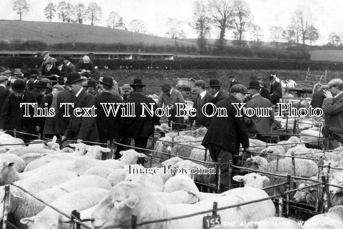 DE 36 - The Auction Mart, Sheep Market, Washford, Devon c1908