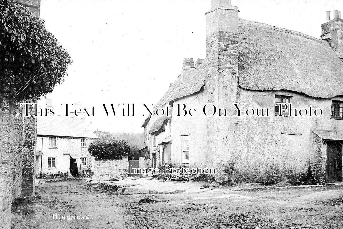DE 3618 - Ringmore, Devon