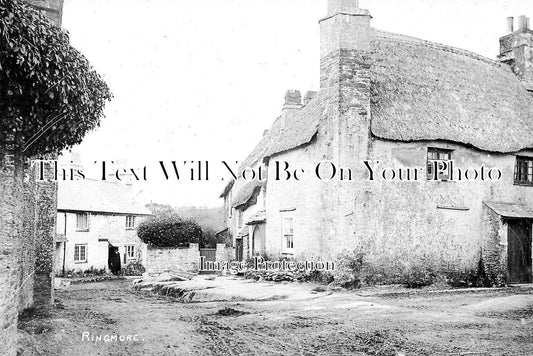 DE 3618 - Ringmore, Devon