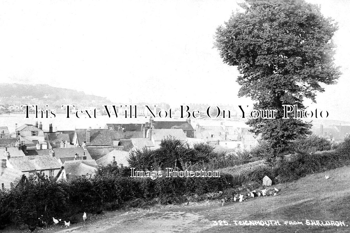 DE 3626 - Teignmouth From Shaldon, Devon