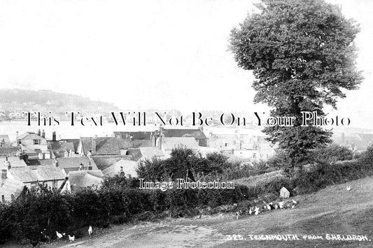 DE 3626 - Teignmouth From Shaldon, Devon