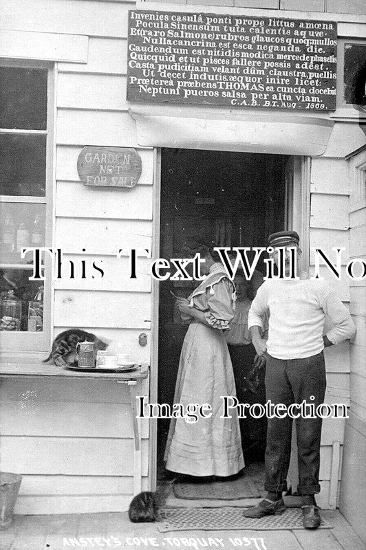 DE 3658 - Ansteys Cove, Torquay, Devon