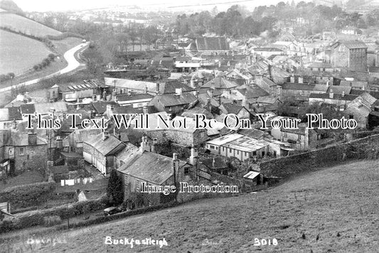 DE 3665 - Buckfastleigh, Devon