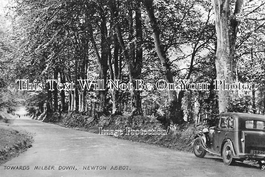 DE 3670 - Towards Milber Down, Newton Abbot, Devon