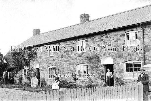 DE 3810 - Chittlehamholt, Devon c1909