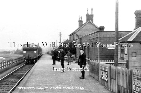 DE 3851 - Woodbury Road Railway Station, Exton, Devon