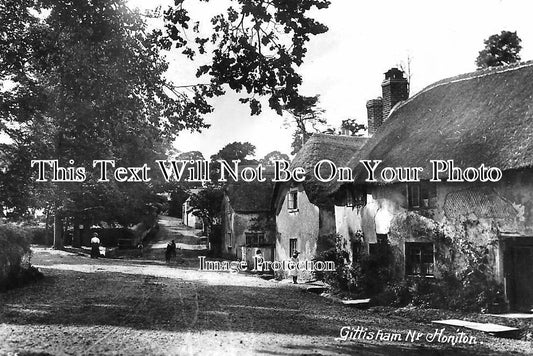 DE 3868 - Gittisham Near Honiton, Devon c1920