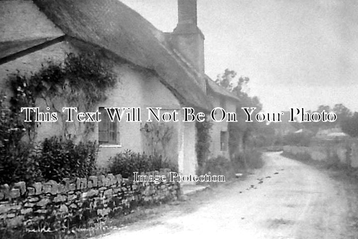 DE 387 - Littlehempston, Devon