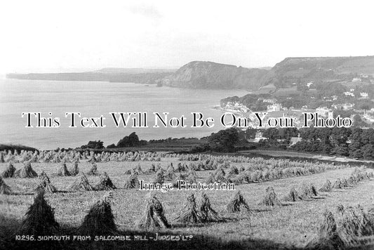 DE 3952 - Sidmouth From Salcombe Hill, Devon c1929