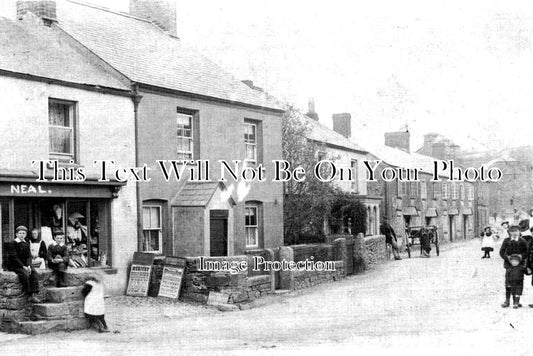 DE 3956 - Walkhampton, Devon c1906
