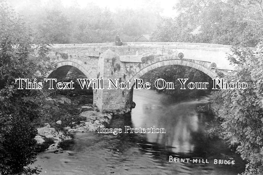 DE 3989 - Brent Mill Bridge, Devon