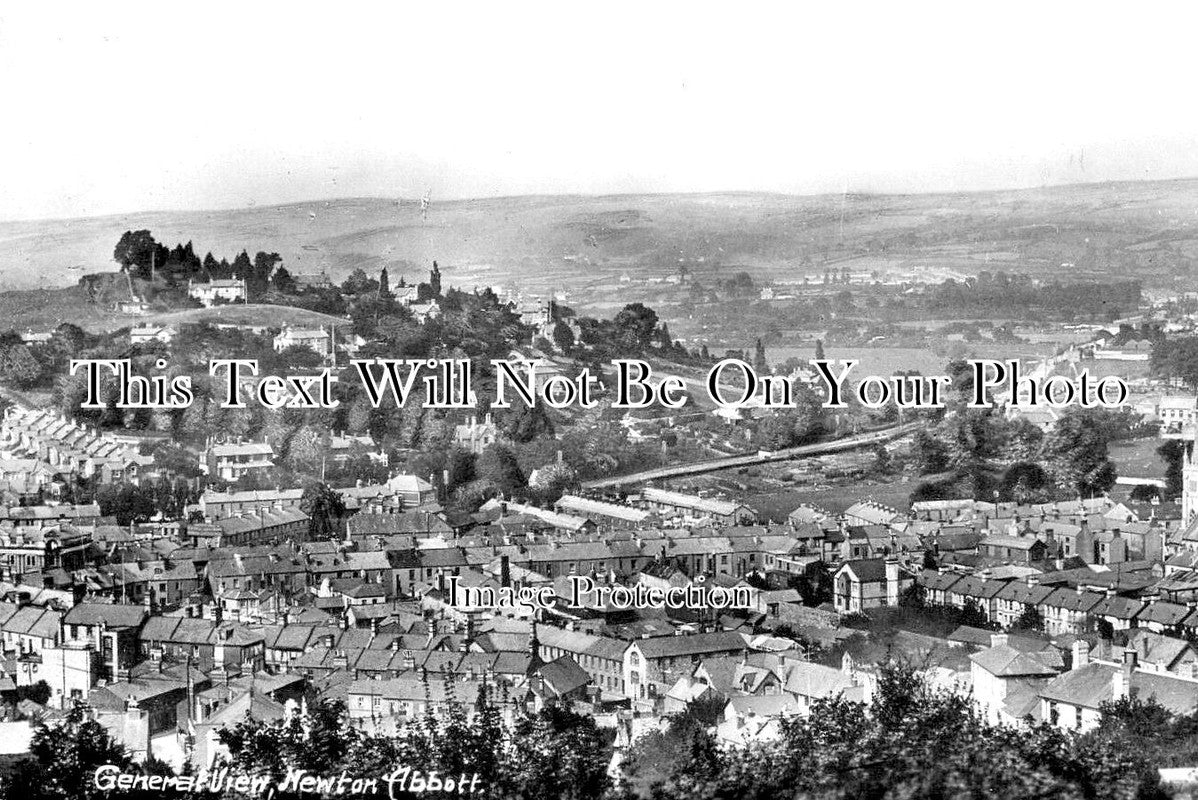 DE 4012 - General View Of Newton Abbot, Devon