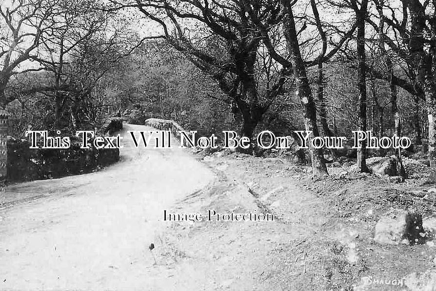 DE 4054 - Shaugh Bridge, Devon c1921