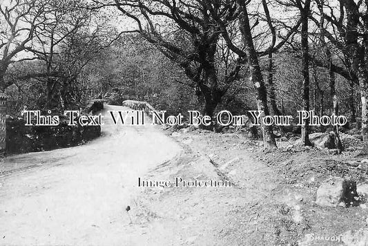 DE 4054 - Shaugh Bridge, Devon c1921