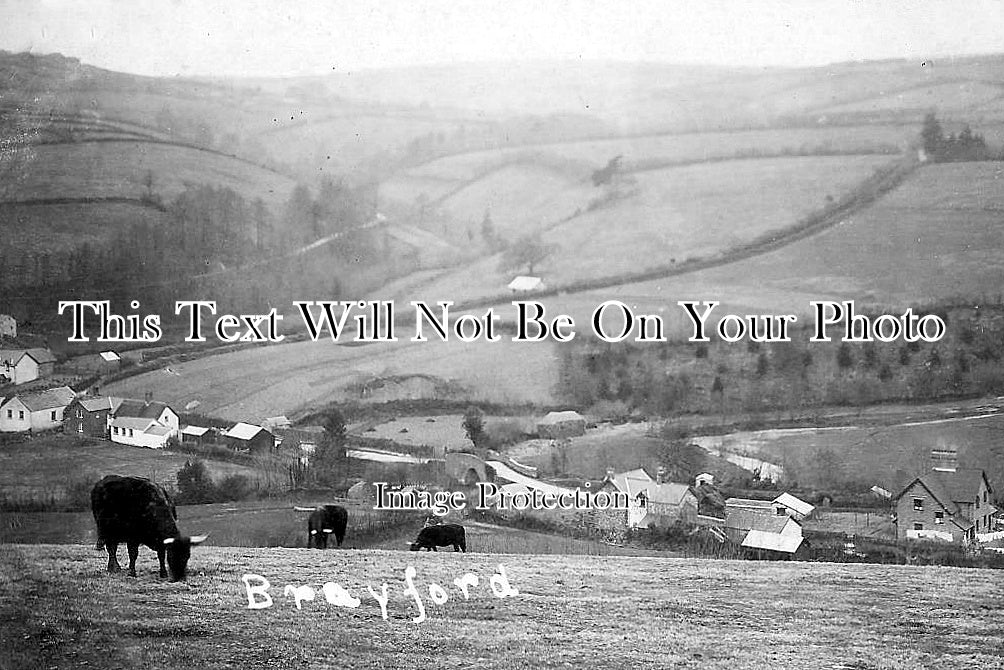 DE 4172 - Brayford, South Molton, Devon c1908