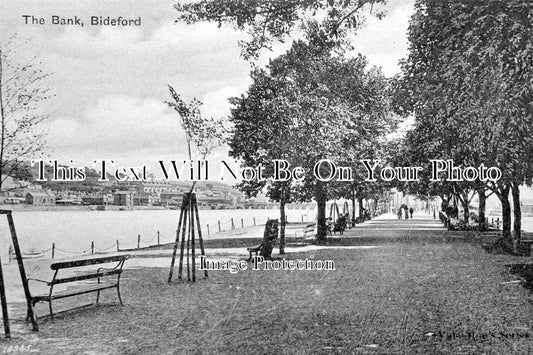 DE 4174 - The Bank, Bideford, Devon c1903