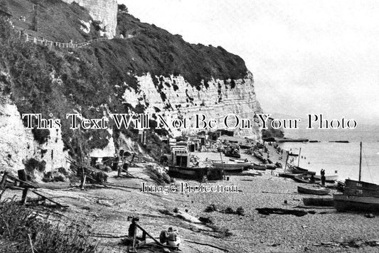 DE 4193 - The Beach Looking East, Beer, Devon