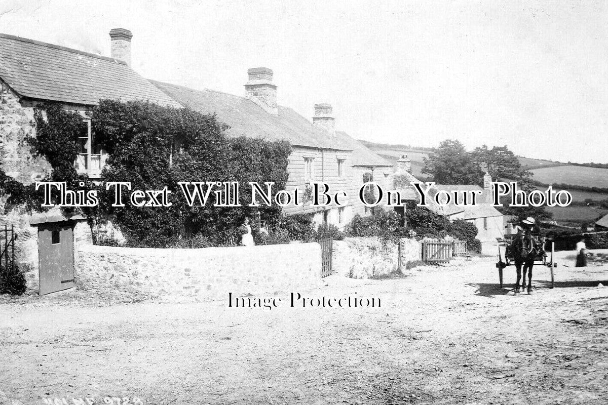 DE 4199 - Holne, Dartmoor, Devon