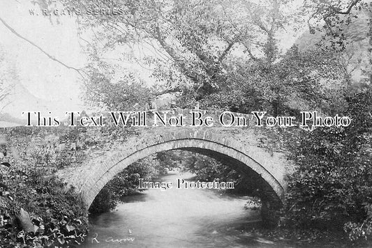 DE 421 - Gara Bridge, River Avon, Devon c1905
